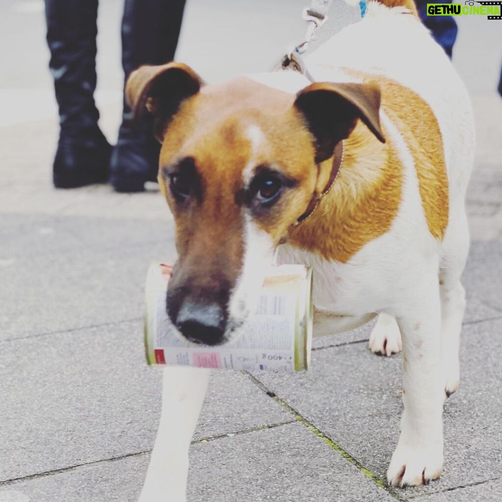 Billy Boyd Instagram - Hey guys, I have heard of lots of new accounts from me, they are not real. Only this account is mine. Hope everyone is doing good in this strange time. Sending love x ( here’s a dog I met in Düsseldorf who carries his own dinner home)