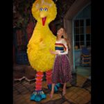 Blake Lively Instagram – Still geeking out😍. Kids used to make fun of me in elementary school by calling me Big Bird (because I was “too tall” and had “yellow” hair). Here’s to making best buddies with the things that once hurt you 🥂💗