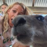 Blake Lively Instagram - Selfie game was strong ...until I got photobombed by some crazy fan. Where's security when you need it. 😜☺️😹 (the cat's for you @taylorswift )