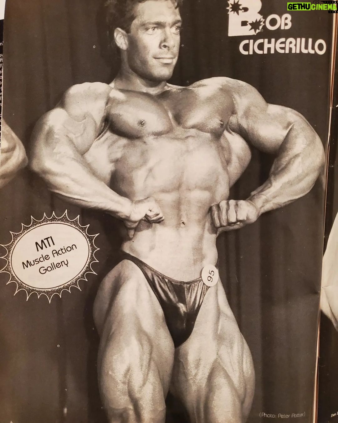 Bob Cicherillo - 822 Likes -
