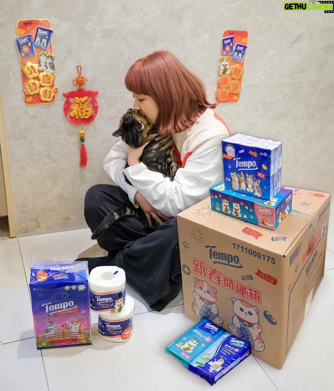 Bonnie Wong Instagram - ☺:仔呀仔,你睇吓 Tempo新出嘅新年限定版 mofusand 貓貓好靚呀! 🥰 🐱:喵~~(明明就我靚仔啲) ☺:新年擺喺屋企咁靚,利是都逗多兩封呀 🐱:喵~~(咁呀 …貓奴要入貨喇! ✌) 今個新年,Tempo再度聯乘日本人氣貓貓 mofusand推出 2024新年限定版 ❤ 🔥 一系列產品包裝都印有可愛招財貓和日本極受歡迎的達摩 mofusand,幫你招好運、迎新春 ✌ 而今年更特別推出Tempo X mofusand新春開運箱 ,集齊多款產品,包羅萬有,為大家開運招福 🤝🏻 新年限定網店優惠 由1月19日起,於百佳網店eshop、yuu to me網購平台及屈臣氏網店買滿指定金額,即可獲得限量禮品*! 第一擊:買Tempo產品滿港幣$248,即送新春購物袋一個*。 第二擊:買Tempo產品滿港幣$388,再送賀年抱枕一個(款式隨機發送)*。 *贈品數量有限,送完即止。最終優惠及供應為零售商自行釐定。 *優惠以每張訂單計算及以購物車頁面為準。 @tempohongkong #tempohongkong #TempoHK #柔韌啱啱好 #TempoXmofusand新年限定版 #mofusand #期間限定 #貓 #mofusand貓貓 #貓奴 #貓星人
