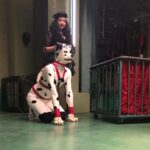 Brendan Scannell Instagram - @bondingnetflix season 2 streaming now dump