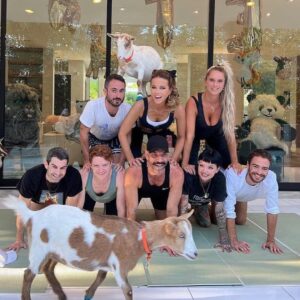 Brendan Scannell Instagram - Turns out when they call it “Goat Yoga” they mean exactly that #baamaste 🐐🙏