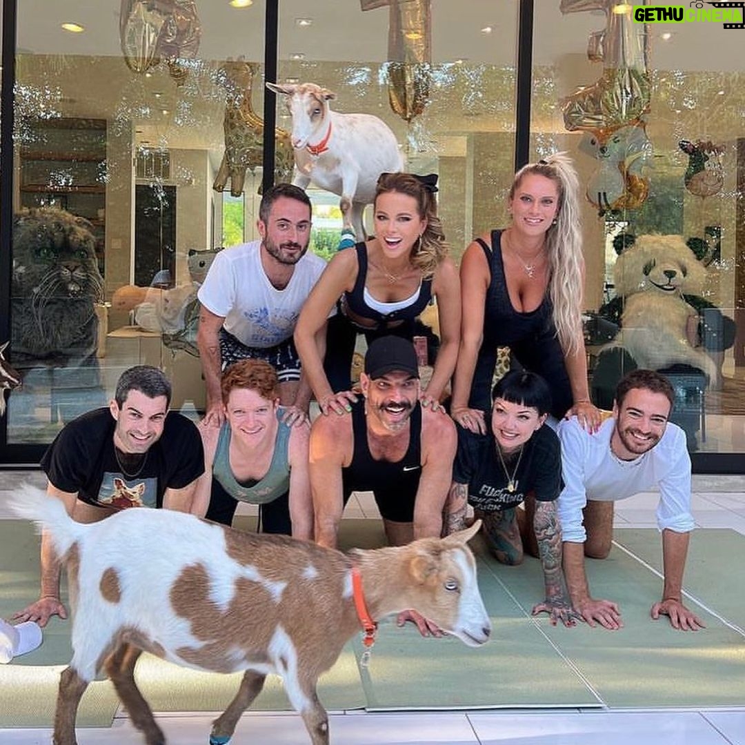 Brendan Scannell - 1.6K Likes - Turns out when they call it “Goat Yoga” they mean exactly that #baamaste 🐐🙏