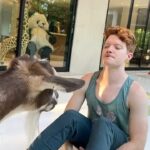 Brendan Scannell Instagram - Turns out when they call it “Goat Yoga” they mean exactly that #baamaste 🐐🙏