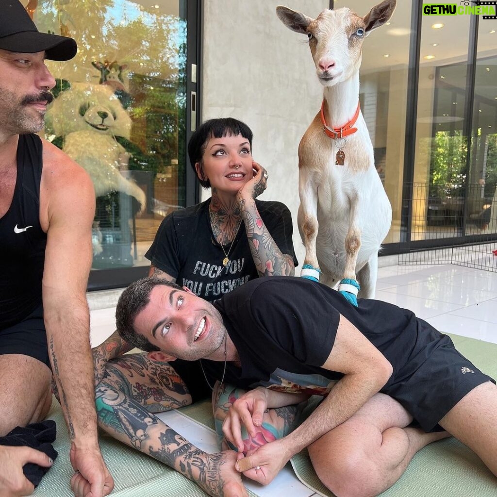 Brendan Scannell Instagram - Turns out when they call it “Goat Yoga” they mean exactly that #baamaste 🐐🙏