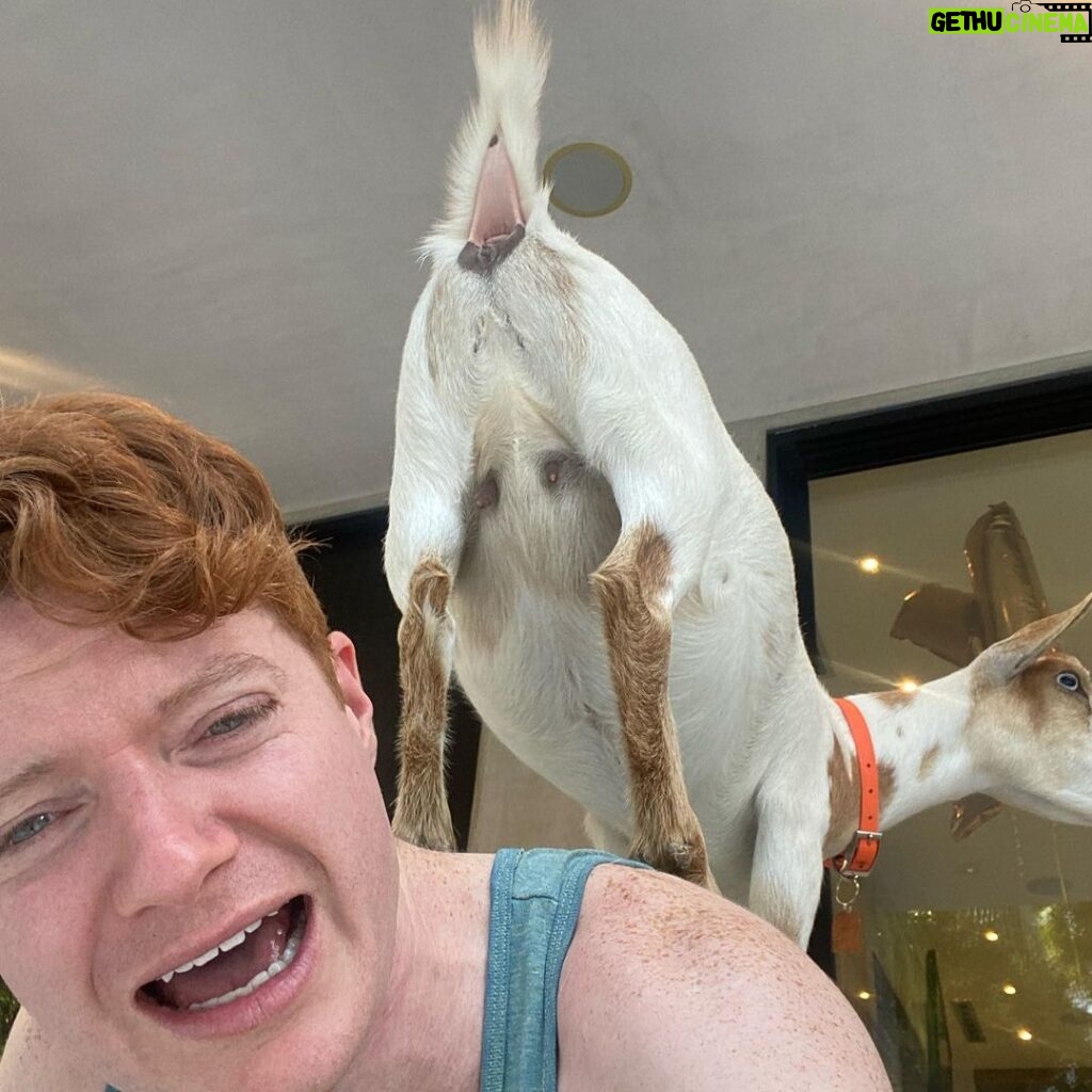 Brendan Scannell Instagram - Turns out when they call it “Goat Yoga” they mean exactly that #baamaste 🐐🙏