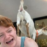 Brendan Scannell Instagram - Turns out when they call it “Goat Yoga” they mean exactly that #baamaste 🐐🙏