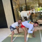 Brendan Scannell Instagram - Turns out when they call it “Goat Yoga” they mean exactly that #baamaste 🐐🙏
