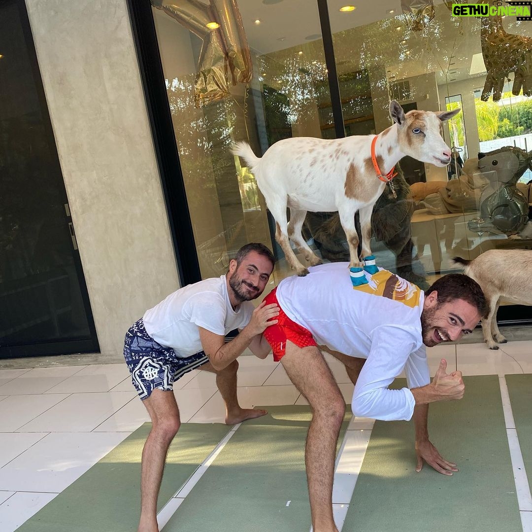 Brendan Scannell Instagram - Turns out when they call it “Goat Yoga” they mean exactly that #baamaste 🐐🙏