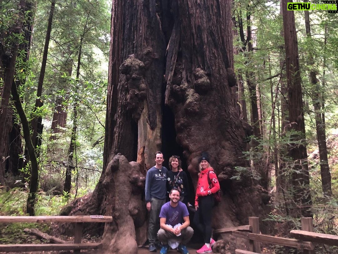 Brian Holden Instagram - We had a truly wonderful weekend celebrating @tracilacie and @funkwox, and soaking up all the beauty of Northern California with so many friends that we love dearly. What a great time for realizing how lucky we are! Thanks for bringing us together, Traci and Joe! Mendocino, California