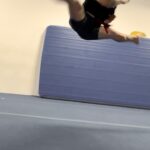 Brian Le Instagram - ⛩武館⛩ FORBIDDEN TECHNIQUES FROM THE SCRIPTURES!!! I AM THE DEMON WOLF RHEEEEEEE!!!🔥💀👹🐺🔥💀👹🐺 THANK YOU @brianwithheart FOR ALWAYS WELCOMING ME INTO YOUR GYM BROTHER @catricking GRATEFUL FOR THE LIFE I LIVE!! 🙏❤️ 🎥: @ayeyorobo 🙏 • • • • • • #martialarts #martialartslife #martialartstraining #martialartstricking #highkick #kicking #sidekick #roundhouse #roundhousekick #facekick #muayboran #muaythaifighter #taekwondotraining #capoeiralife #capoeira #donnieyen #tonyjaa #scottadkins #backflips #jackiechanstyle #kungfu Konoha: Hidden Leaf Village
