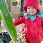 Brittany Daniel Instagram - Happy Halloween from our strawberry baby Hope Rose Touni. @adam.touni #HappyHalloween #HopeRose