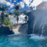 Brittany Daniel Instagram - Highlight of my year was showing our sweet Hope Hawaii for the first time. 💗