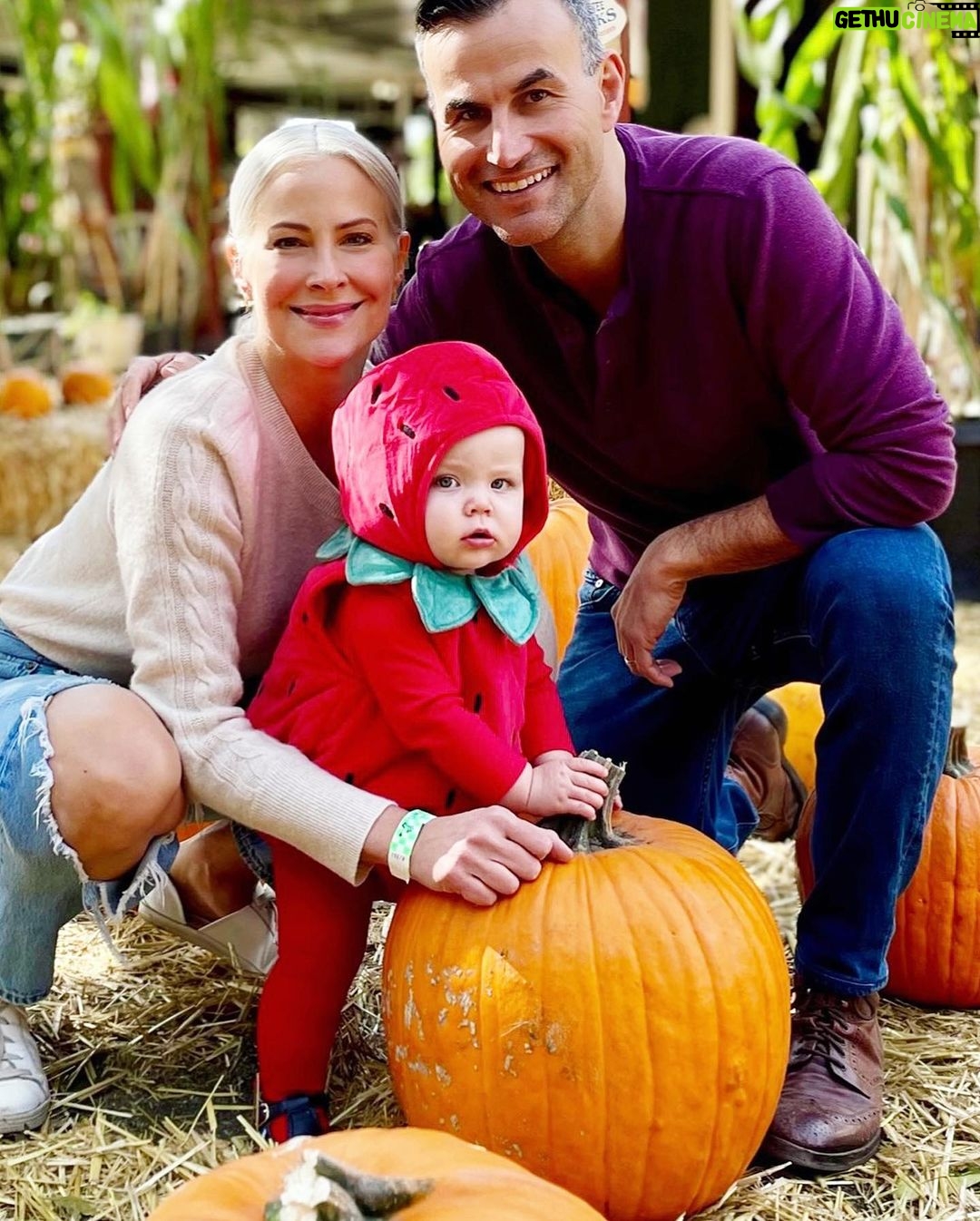 Brittany Daniel Instagram - Happy Halloween from our strawberry baby Hope Rose Touni. @adam.touni #HappyHalloween #HopeRose