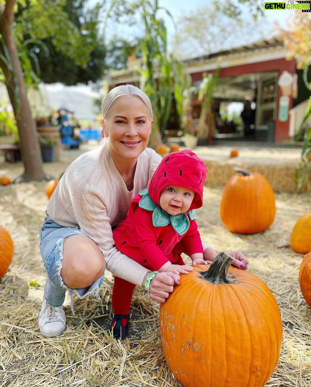 Brittany Daniel Instagram - Happy Halloween from our strawberry baby Hope Rose Touni. @adam.touni #HappyHalloween #HopeRose