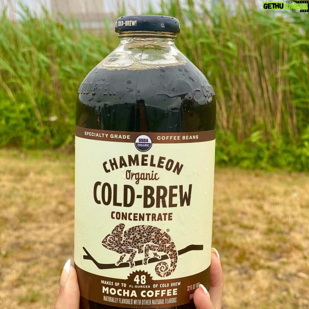 Brittany Lee Lewis Instagram - The best fix for a rainy and gloomy Monday morning has arrived! Get your #ChameleonColdBrew today! #BringThatCraftHome