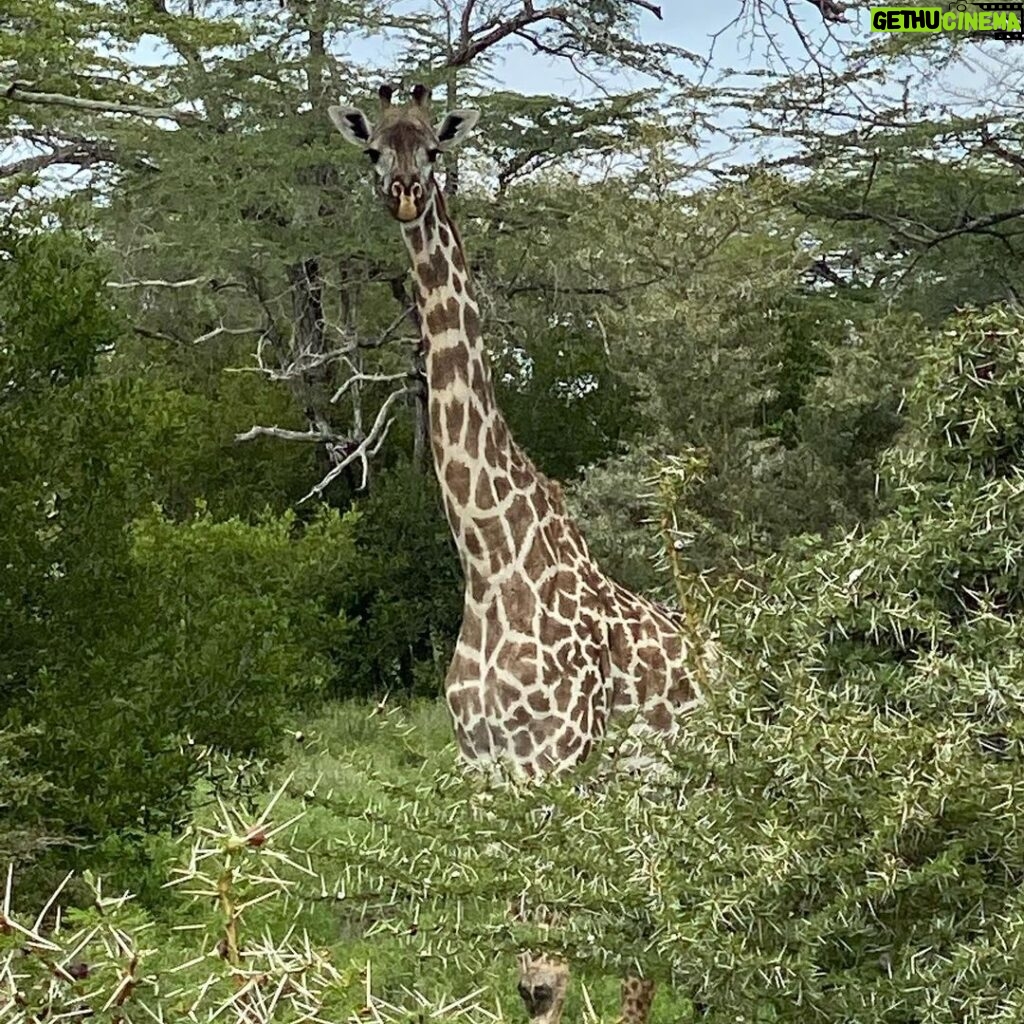Brittany Lee Lewis Instagram - Nyerere National Park