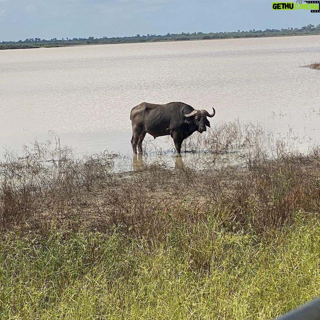 Brittany Lee Lewis Instagram - Nyerere National Park
