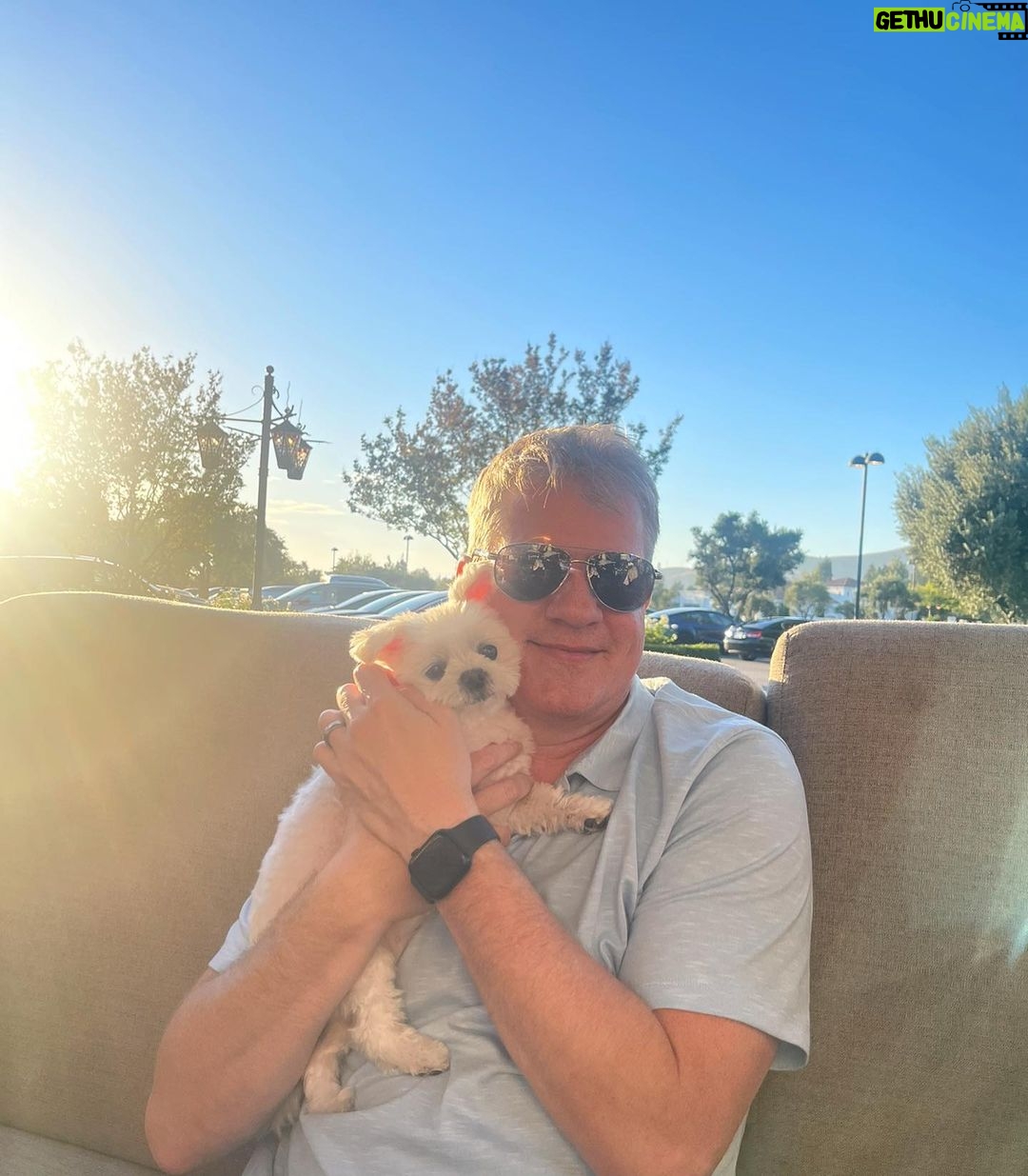 Brooke Sorenson Instagram - Rest easy our sweet Sophie girl. Our family isnโt complete without you and our hearts will hurt every day. 10 years of pure joy. Thank you for loving us & letting us love you, missing you endlessly ๐๏ธ๐ผ๐ผ ๐ค