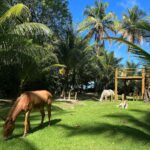 Bruna Marquezine Instagram - Eu sinto tanta saudade de espetinho de camarão, caipirinha de seriguela, praia com lua cheia e sacolé de cupuaçu…