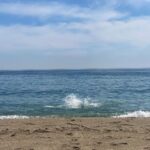 Bruno Ascenzo Instagram - Me da Mar Gusto en Mar Bella.