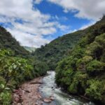 Bruno Ascenzo Instagram - 10 fotos de la ruta Oxapampa - Pozuzo 🌳🌲 Postales de camino, sin ningún filtro ni media edición, tomadas con mi Xiaomi 12 PRO para los que tengan curiosidad de la cámara con la que fueron registradas: directamente con mi celular @xiaomi.peru.official 🔝📸