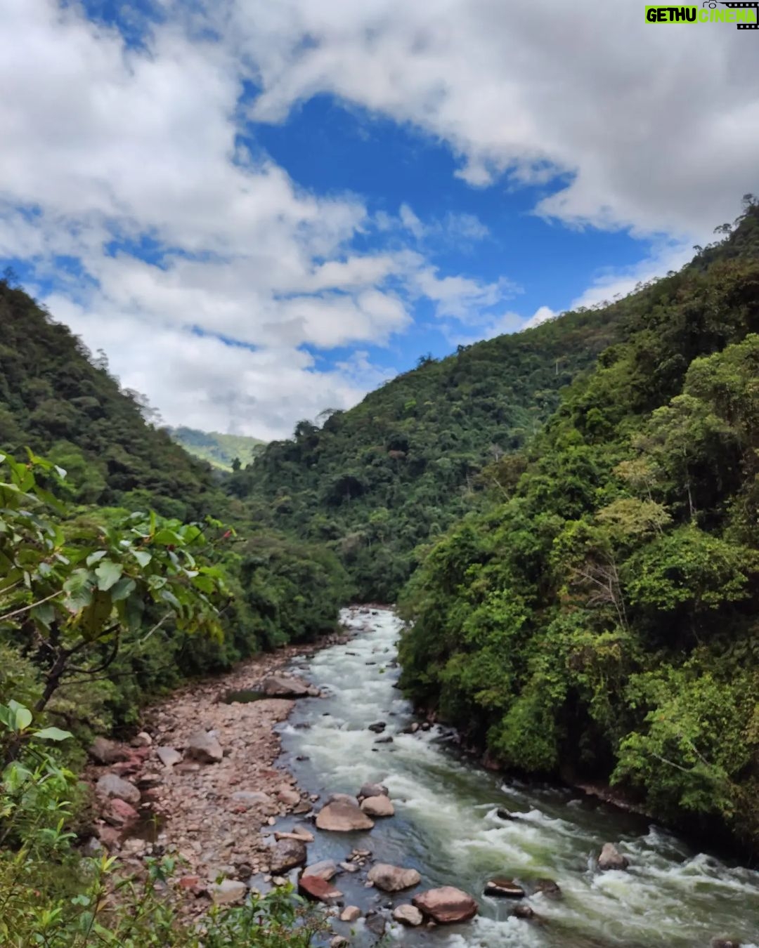 Bruno Ascenzo Instagram - 10 fotos de la ruta Oxapampa - Pozuzo 🌳🌲 Postales de camino, sin ningún filtro ni media edición, tomadas con mi Xiaomi 12 PRO para los que tengan curiosidad de la cámara con la que fueron registradas: directamente con mi celular @xiaomi.peru.official 🔝📸
