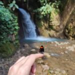 Bruno Ascenzo Instagram - 10 fotos de la ruta Oxapampa - Pozuzo 🌳🌲 Postales de camino, sin ningún filtro ni media edición, tomadas con mi Xiaomi 12 PRO para los que tengan curiosidad de la cámara con la que fueron registradas: directamente con mi celular @xiaomi.peru.official 🔝📸