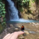 Bruno Ascenzo Instagram - Un resumen reelesco del último fin de semana: agarramos el carro y nos fuimos a Oxapampa. Nueve horas de ida y diez de regreso. La carretera en muy buen estado. Unos paisajes increíbles, mucha naturaleza y un festival de música alucinante. Vale 100% la pena el viaje para conocer y disfrutar de las bellezas de nuestro país. Les recomiendo la aventura. Y les recomiendo también el celular desde donde grabé todas estas imágenes: el Xiaomi 12 Pro de @xiaomi.peru.official que tiene una cámara que graba videos y toma fotografías de la mejor calidad, un zoom buenísimo y funciones realmente profesionales para que tus recuerdos e imágenes se vean tan nítidas como frente a tus ojos. Anímate a probarlo que te sorprenderá tanto como a mi. #DominaCadaEscena #oxapampa #selvamonos #xiaomi #Xiaomi12Pro #publicidad #Xiaomi12 #SerieXiaomi12
