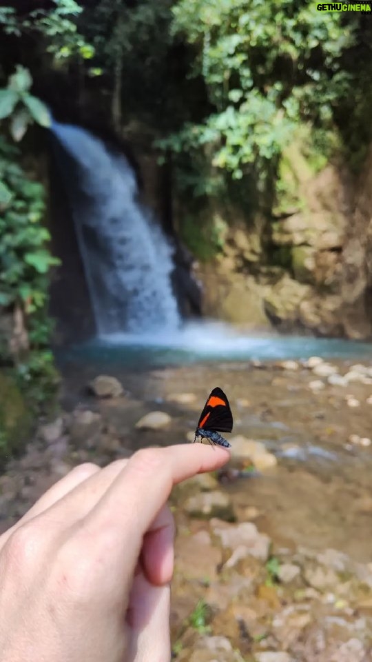 Bruno Ascenzo Instagram - Un resumen reelesco del último fin de semana: agarramos el carro y nos fuimos a Oxapampa. Nueve horas de ida y diez de regreso. La carretera en muy buen estado. Unos paisajes increíbles, mucha naturaleza y un festival de música alucinante. Vale 100% la pena el viaje para conocer y disfrutar de las bellezas de nuestro país. Les recomiendo la aventura. Y les recomiendo también el celular desde donde grabé todas estas imágenes: el Xiaomi 12 Pro de @xiaomi.peru.official que tiene una cámara que graba videos y toma fotografías de la mejor calidad, un zoom buenísimo y funciones realmente profesionales para que tus recuerdos e imágenes se vean tan nítidas como frente a tus ojos. Anímate a probarlo que te sorprenderá tanto como a mi. #DominaCadaEscena #oxapampa #selvamonos #xiaomi #Xiaomi12Pro #publicidad #Xiaomi12 #SerieXiaomi12