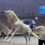 Burak Özçivit Instagram – #turkmenistan #ahalteke 🐎
