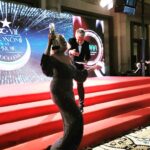 Çiğdem Tunç Instagram – @aslanyapimmedya 
100.Yıl Proje ve Ekonomi Ödülleri 
YAŞAM BOYU MESLEK ONUR ÖDÜLÜ için takdir edenlere can-ı gönülden teşekkür ediyorum…
Abiye @forcostume.ozlemsonmez The Green Park Pendik Hotel & Convention Center
