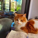 Çiğdem Tunç Instagram – Tarçın çalışıyor..
Oyun galası için organizasyon,belediyelere oyun satış..
Çok çalışıyor çok..🧿🧿🧿🧿🧿 Kalamis, Istanbul, Turkey
