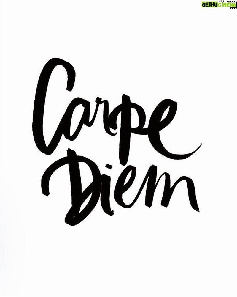 Élodie Ortisset Instagram - Cueille le jour et sois la moins curieuse possible de l'avenir. Horace (•••) La vie est une belle aventure. Et je suis ravie de la partager avec vous. Merci !#quotesoftheday #Blessed #carpediem #sizetheday