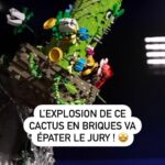 Éric Antoine Instagram - « Je n’ai jamais vu une telle explosion depuis tant d’années » Le jury est complètement bluffé par l’explosion de Joe Le Cactus, une création faite à 100% de briques ! 💥🌵 #LegoMasters, nouvelle saison, dès lundi 25 et mardi 26 décembre à 21:10