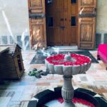 Ólafur Arnalds Instagram – Moroccan days. ➡️ Swipe for Turtle salad 🐢🍃