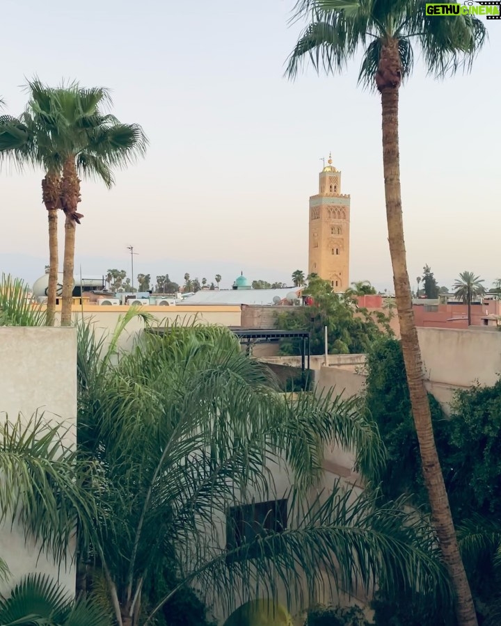Ólafur Arnalds Instagram - Moroccan days. ➡️ Swipe for Turtle salad 🐢🍃
