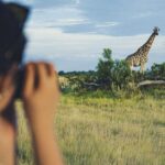 Ólafur Arnalds Instagram - Some of the best of times through my lens. Took some time off the last few weeks to explore, build and learn. 1. My two favorite things. @sandrayati and a giraffe 😍 2. This guy standing in between me and my afternoon nap 3. 😆 4. We are tourists in matching outfits now.. 5. Playing Rossini's PianoForte (apparently!?). Lake Como - italy. 6. When the captain found my music 7. My legs are still sore from this walk to a Crotto on the mountain top. Was worth it for the gnocchi. 8. ❤️ 9. Okavango Delta - Botswana