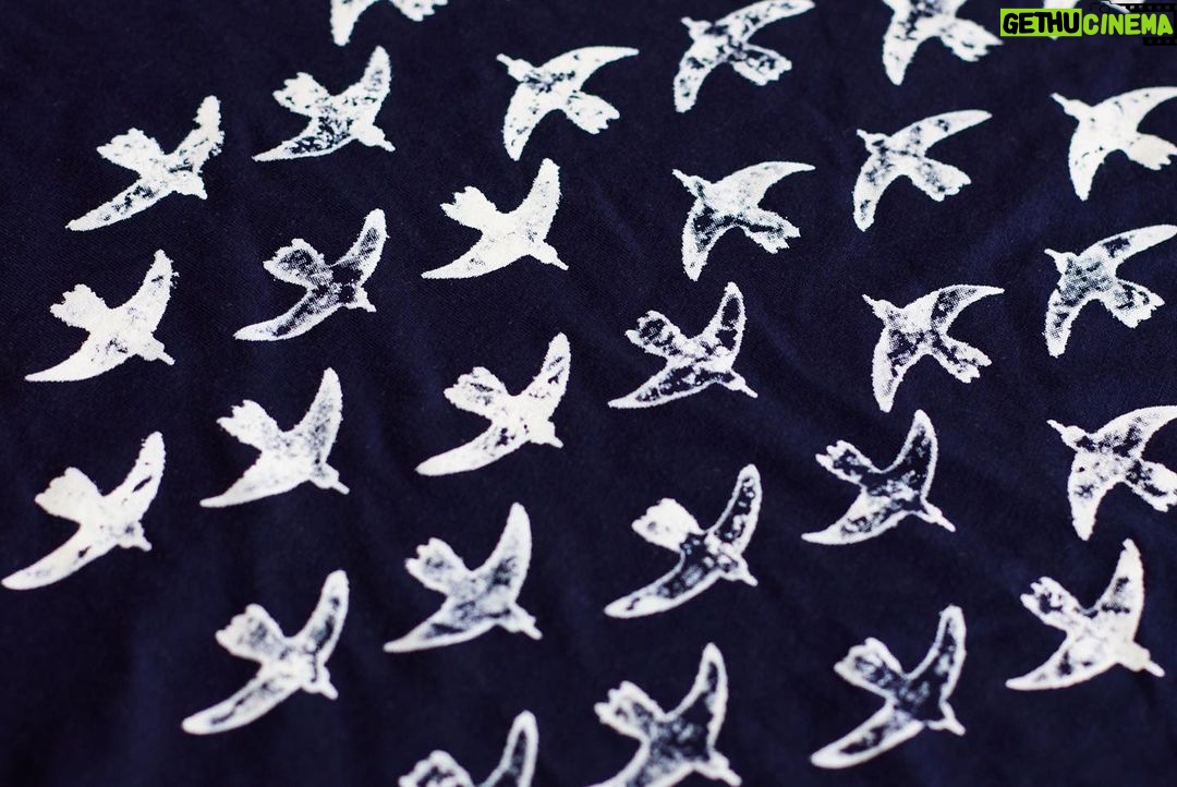 Ólafur Arnalds Instagram - After a long winter in the northern hemisphere, T-shirt season is finally starting! We’ve just restocked these, and to celebrate all tees are 15% off for the rest of April. 👕 Find the store via link in bio.