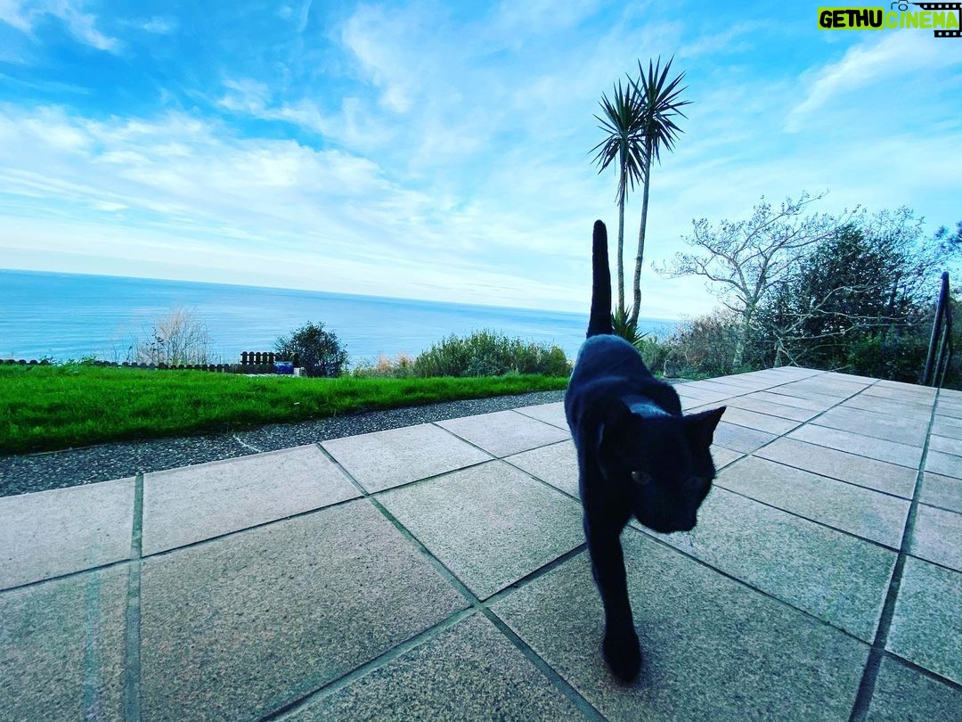 Óscar Jaenada Instagram - Home #longTrip #SS-Mad-CDMX-Mad-Tenerife-Mad-CDMX-Mad-SS #yihhhja #LLIBERTAT Donostia, Euskal Herria