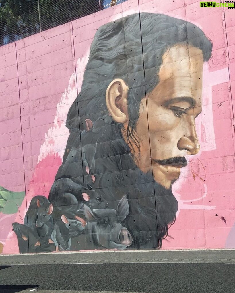 Óscar Jaenada Instagram - La Resistencia. 500a. Mural en la autopista de Mexico-Pachuca. Cortés entre ratas y cerdos. A mi me encaja y gusta. #LLIBERTAT Mexico City, Mexico
