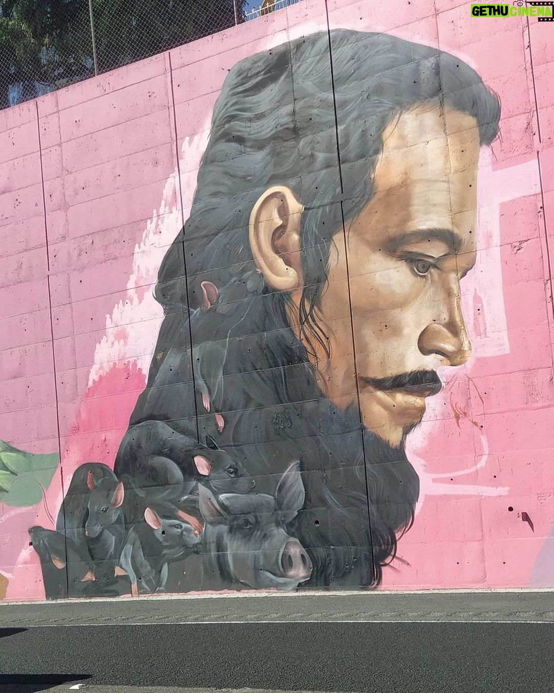 Óscar Jaenada - 5.7K Likes - La Resistencia. 500a. Mural en la autopista de Mexico-Pachuca. Cortés entre ratas y cerdos. A mi me encaja y gusta. #LLIBERTAT