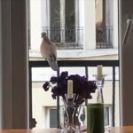 Özlem Akınözü Instagram - Böyle güzelliklerle başlamak güne🙏🏻Müjdelerinle gelmiş ol bana🐦🙏🏻♥️😇