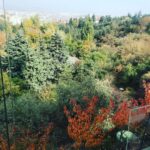Özlem Akınözü Instagram - Sonbaharın en yakıştığı şehir sen olabilirsin #ankara 🍂🍁