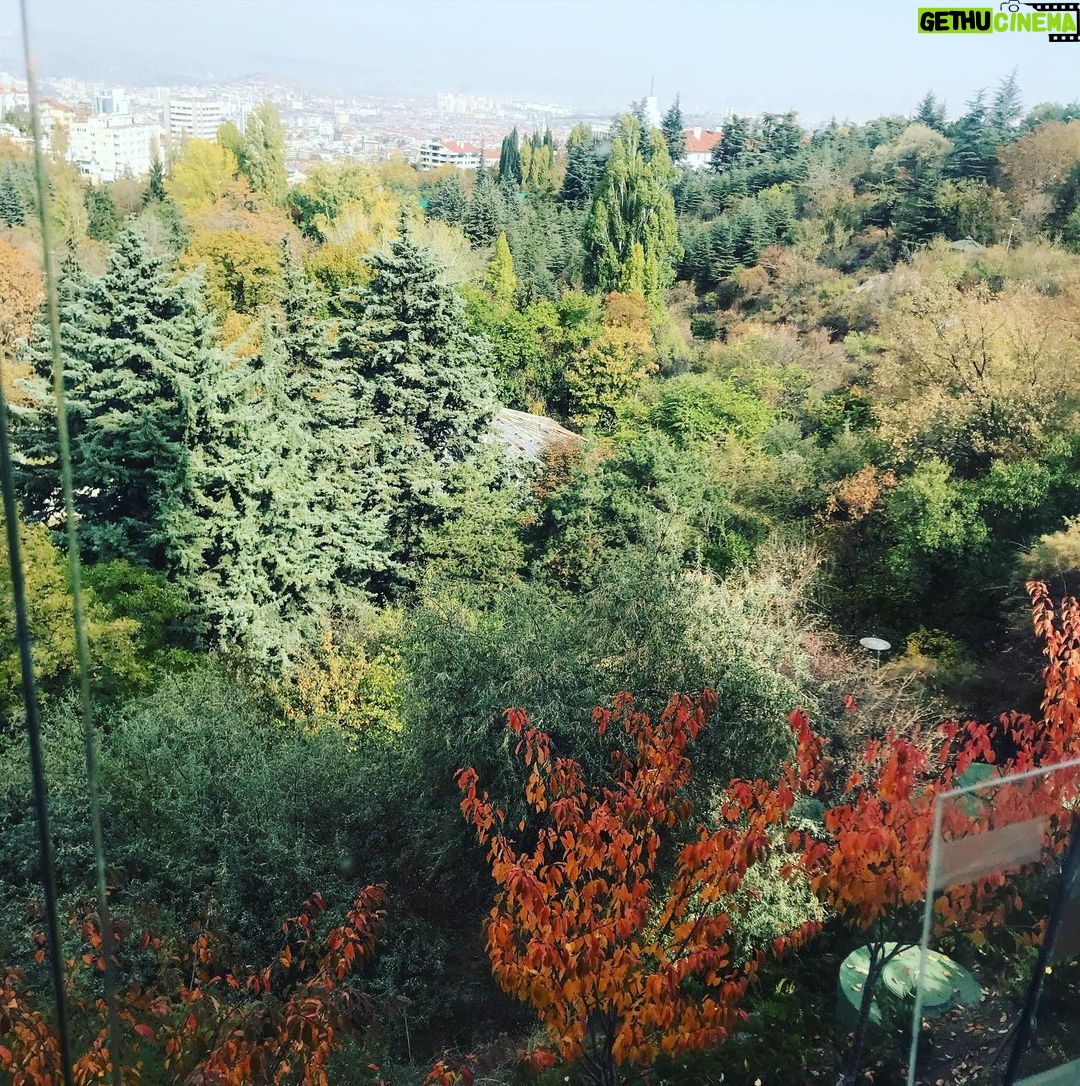 Özlem Akınözü Instagram - Sonbaharın en yakıştığı şehir sen olabilirsin #ankara 🍂🍁