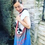 Özlem Akınözü Instagram - Aşıları tamamlanmadı diye evde mi duracağız yani😂😂🐶 #satınalmasahiplen#archie #dog #setter