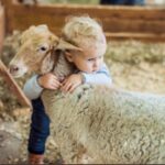 Özlem Akınözü Instagram - Tek bir canlının canının yanmadığı,sevgiyle birbirimizi sarıp sarmaladığımız mutlu bir bayram diliyorum🙏🏻