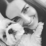 Özlem Yılmaz Instagram - Simit bu durumdan biraz müzdarip gibi ama.. 😂 #benguldumsendegul kapsamında Canım @qbration ‘nın meydan okumasını her haliyle beni güldüren Simit’le 😂 kabul ediyor; Her güne gülümsemeyle uyanmanızı sağlayacak ve gün boyu kahkalarınızın yorgunluğundan tebessümle uykuya dalacağınız sebeplerinizin olması diliyorum 🙏🏼 Hadi @basagu , @begumbirgoren , @aslihanmalbora 🙃 #benguldumsendegul 🙃