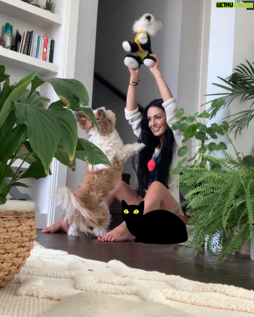 Özlem Yılmaz Instagram - Hayat bu.. Beş dakika sonra ne olacağını bilemezsin.. #zavallıkedicik 🙃